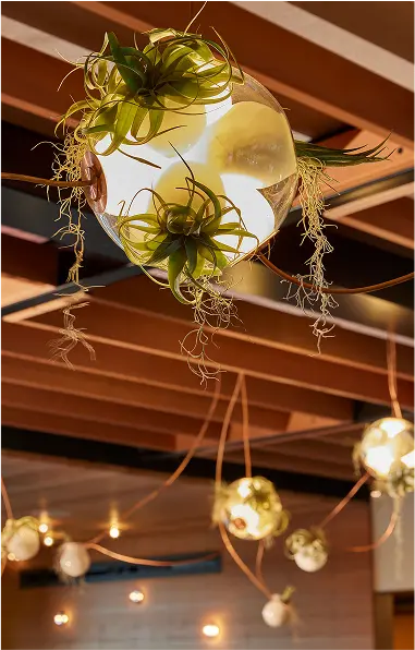 Roof 106, restaurant at Healdsburg, CA