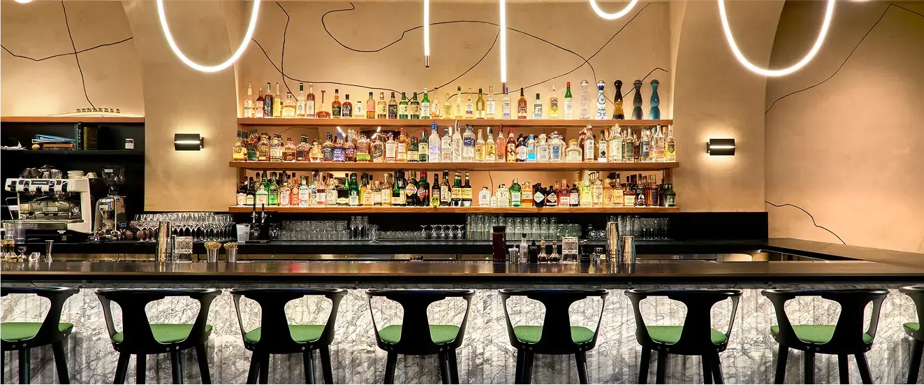 Banner of Magari Project